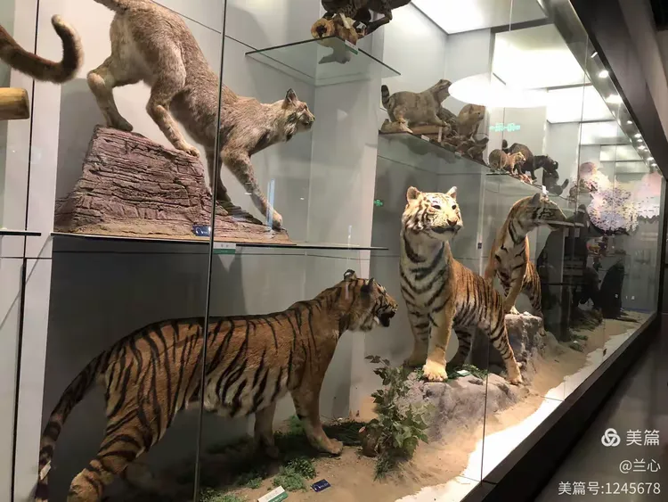 国家动物博物馆